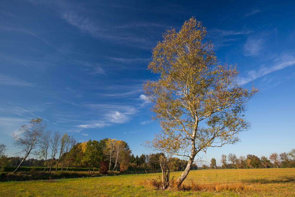 Oktober 2026
