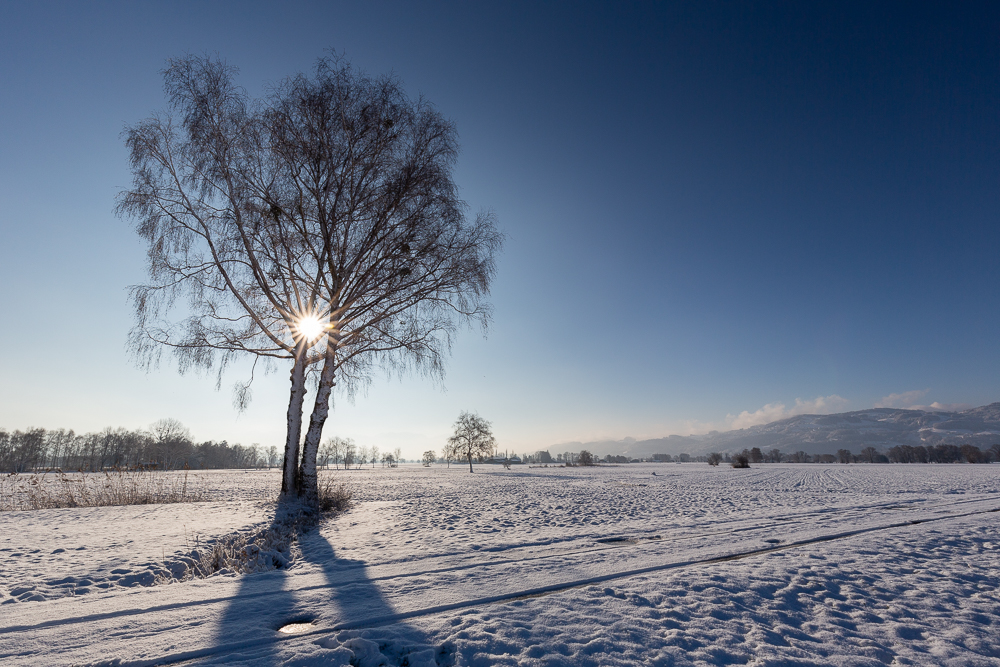 Winter - Impressionen Februar 2019