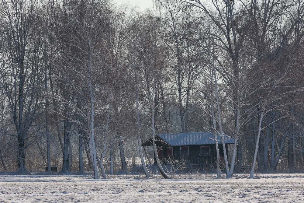 Winter - Impressionen Februar 2019