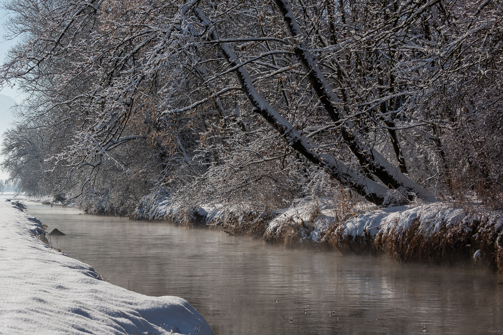 Winter - Impressionen Februar 2019