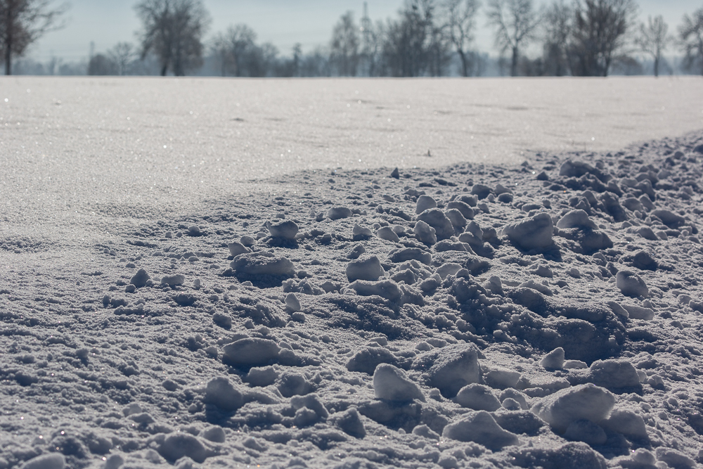 Winter - Impressionen Februar 2019