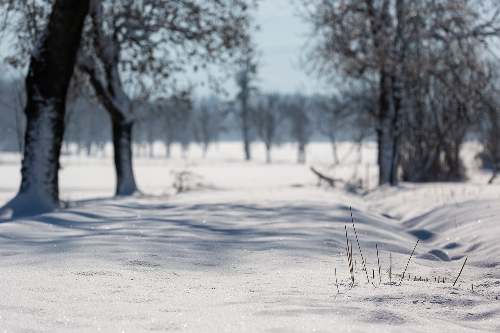 Winter - Impressionen Februar 2019