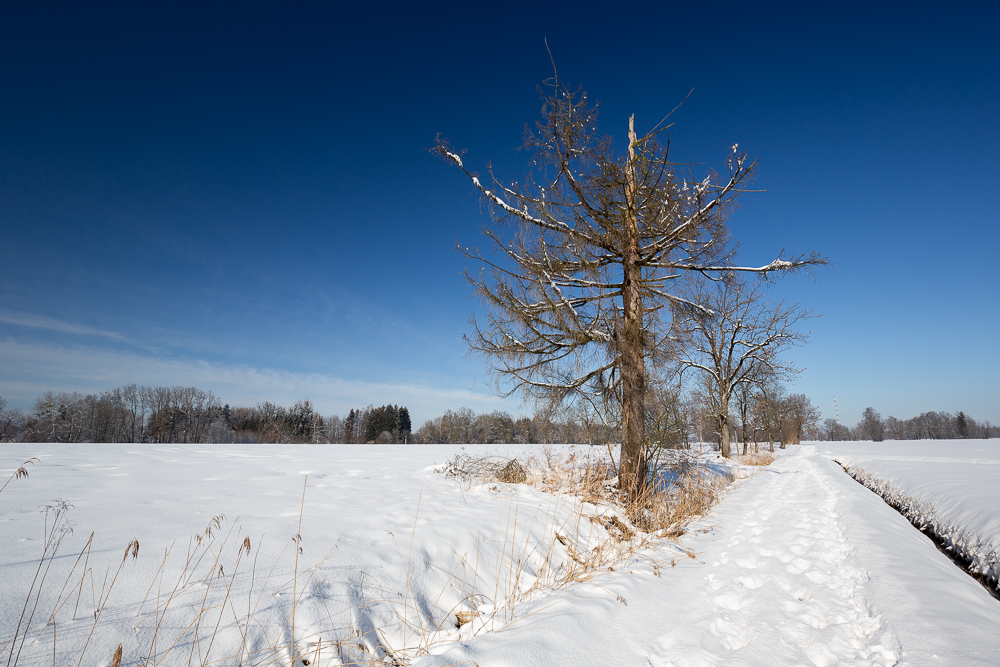 Winter - Impressionen Februar 2019