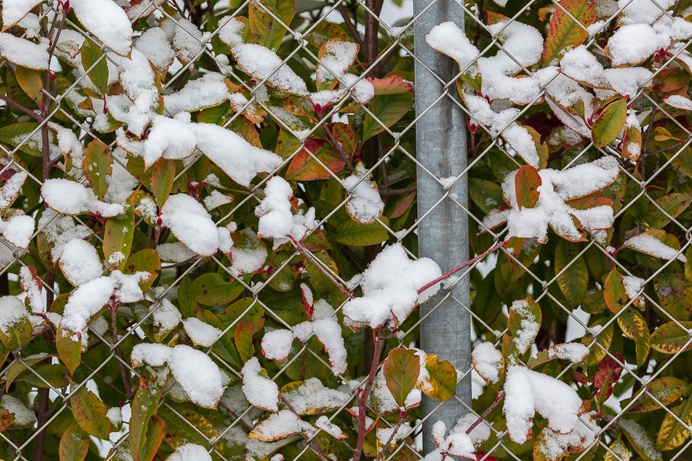 Schmuddelwetter 4