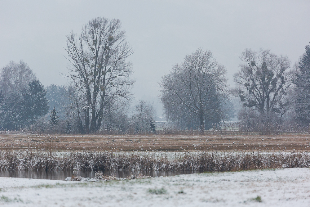Schmuddelwetter 8