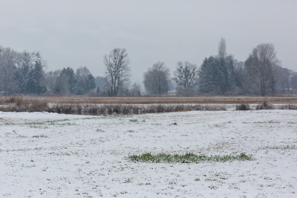 Schmuddelwetter 9