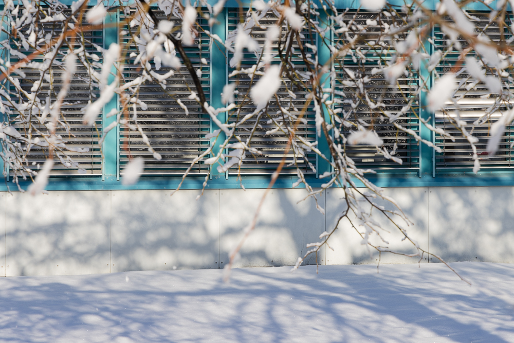 Winter mit der R5 4