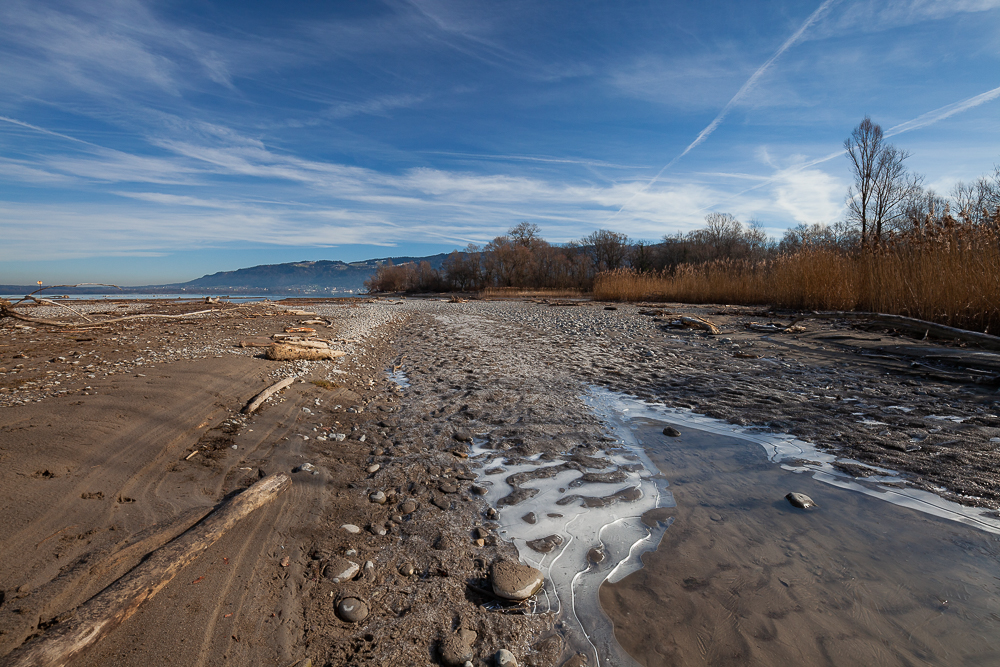 Bregenzer - Achmündung 5