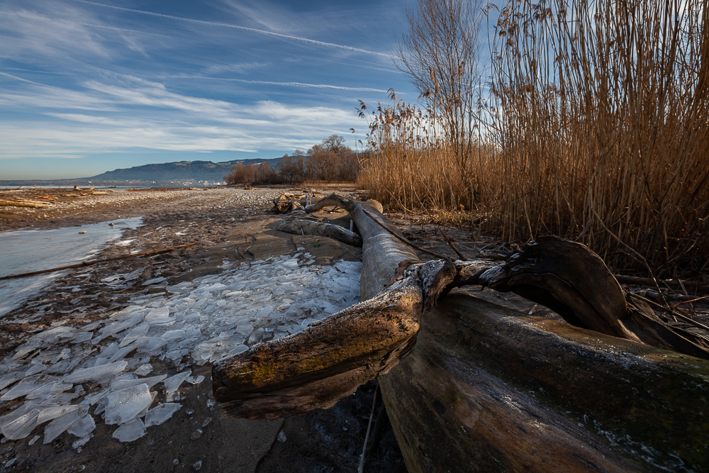 Bregenzer - Achmündung 7