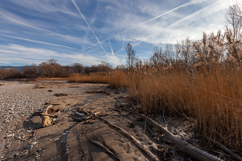 Bregenzer - Achmündung 10