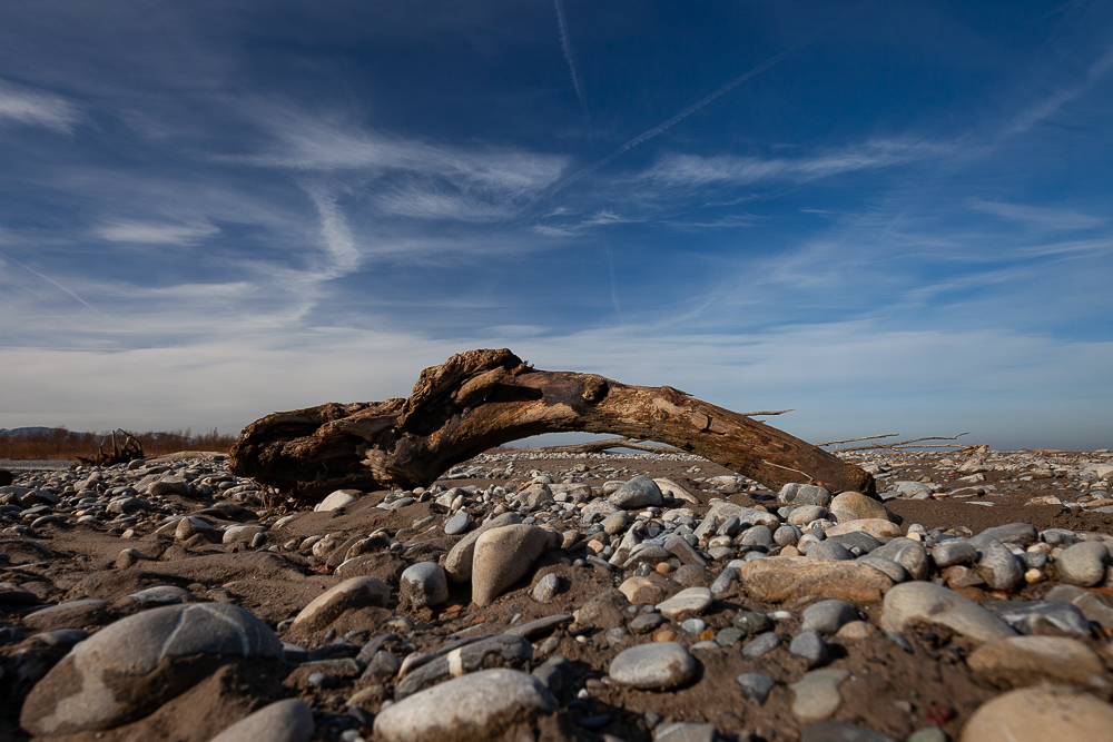 Bregenzer - Achmündung 11
