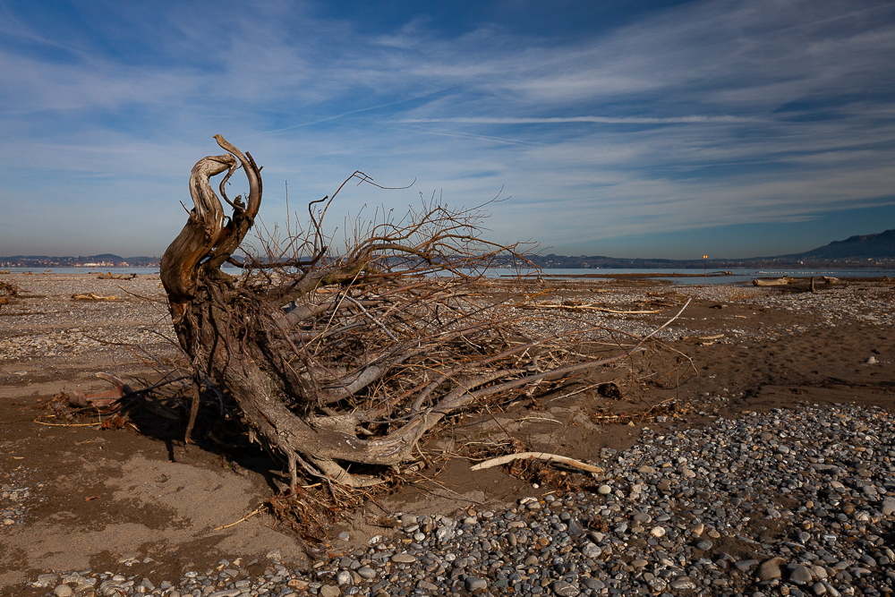 Bregenzer - Achmündung 12