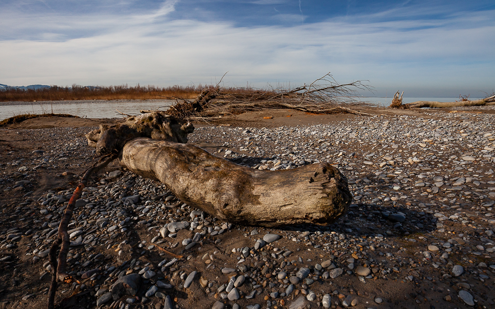 Bregenzer - Achmündung 13