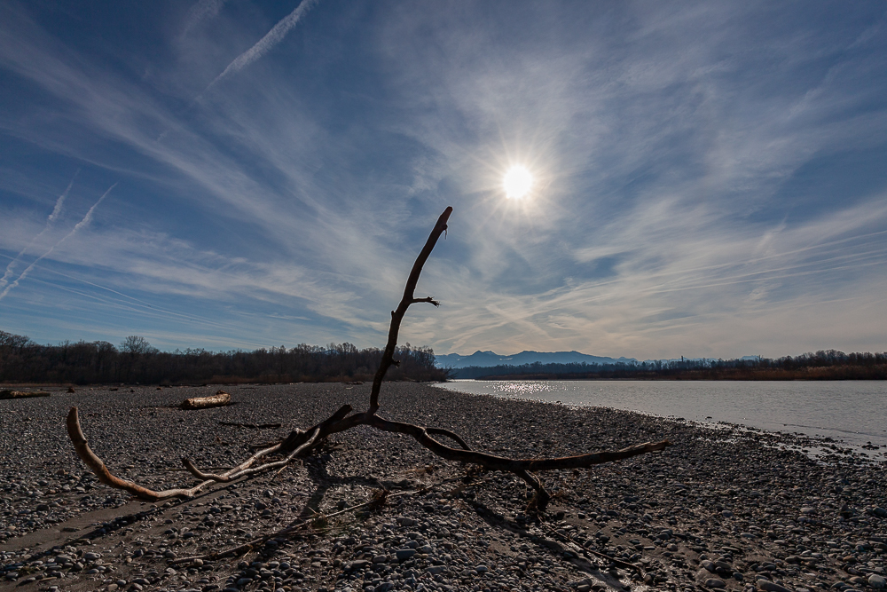 Bregenzer - Achmündung 14