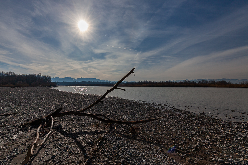 Bregenzer - Achmündung 15