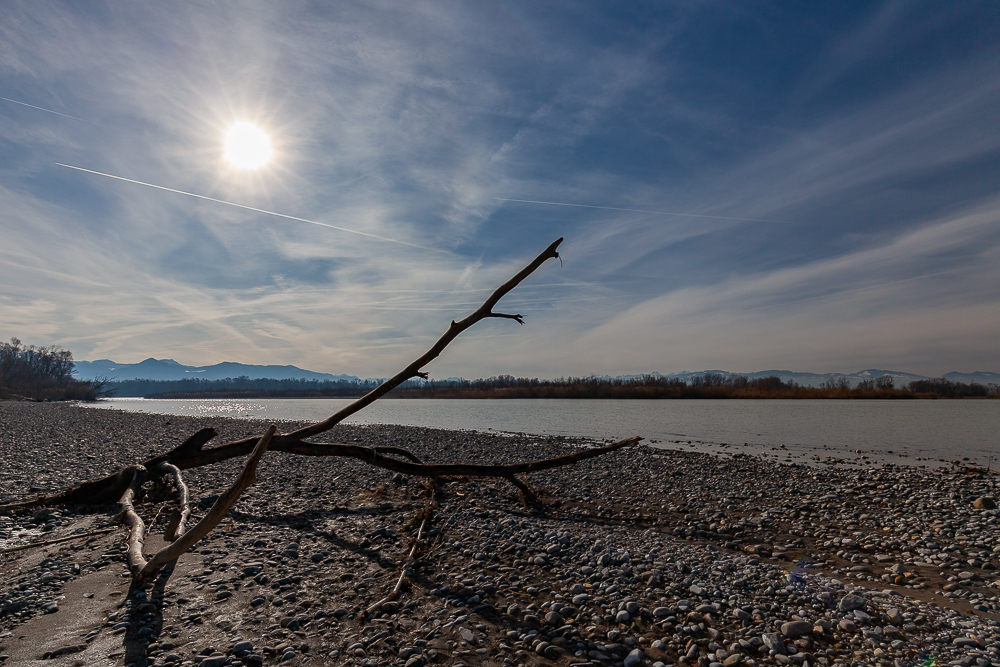 Bregenzer - Achmündung 16