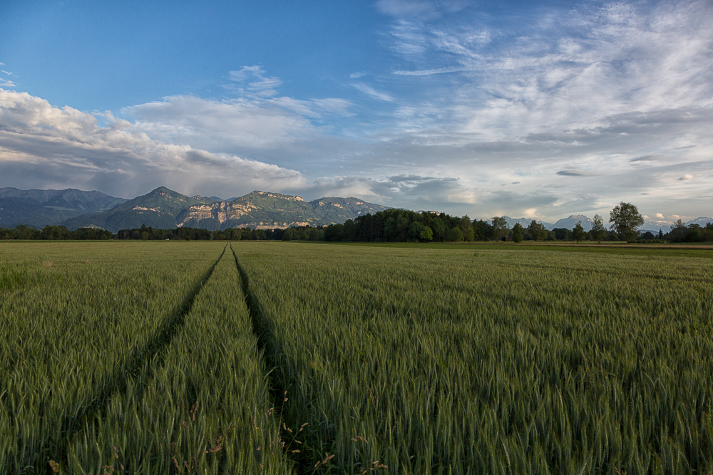 Stimmung am Abend