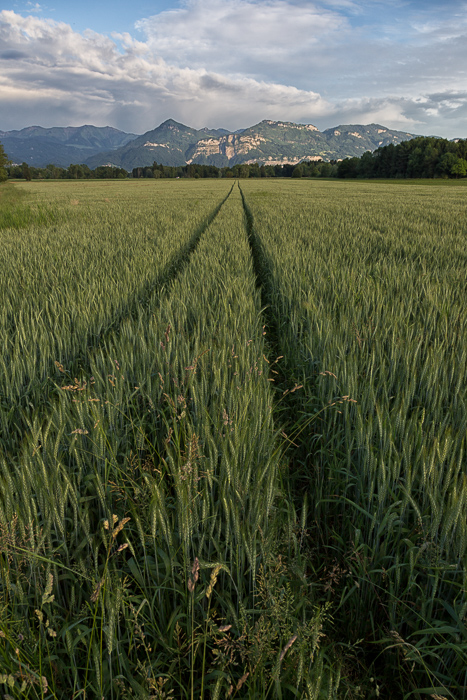 Stimmung am Abend
