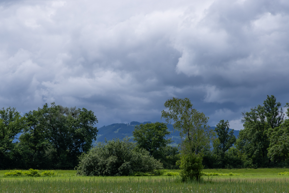 Regenpause 3