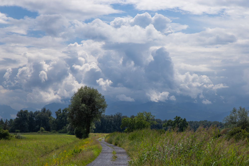Nach dem Regen 6