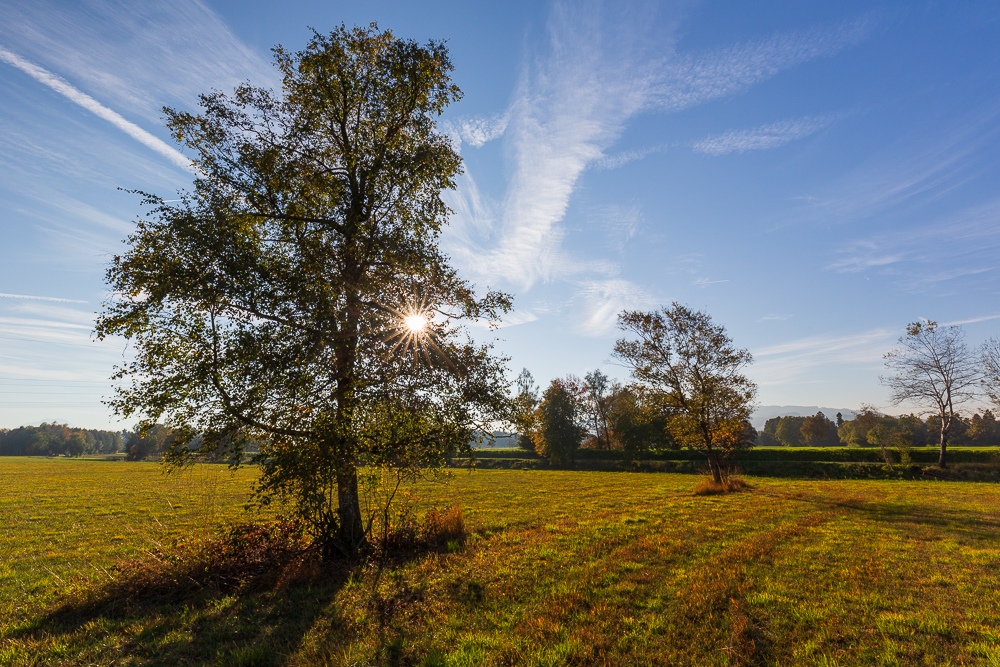 Herbst 2018