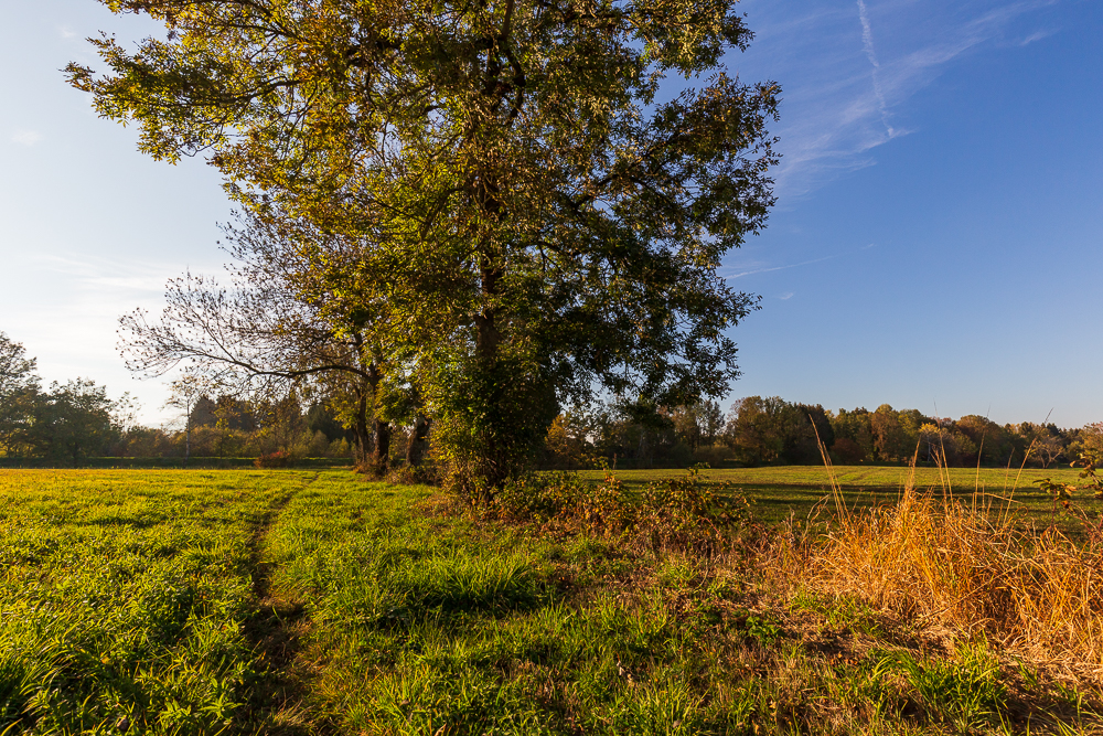Herbst 2018
