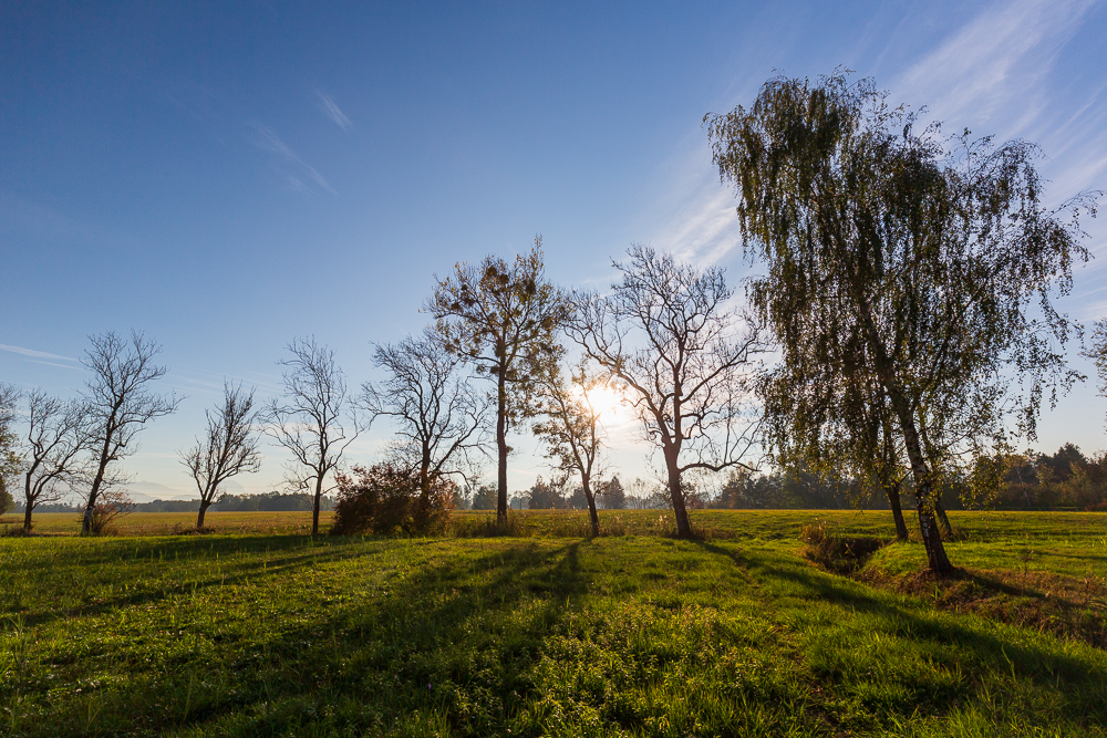 Herbst 2018