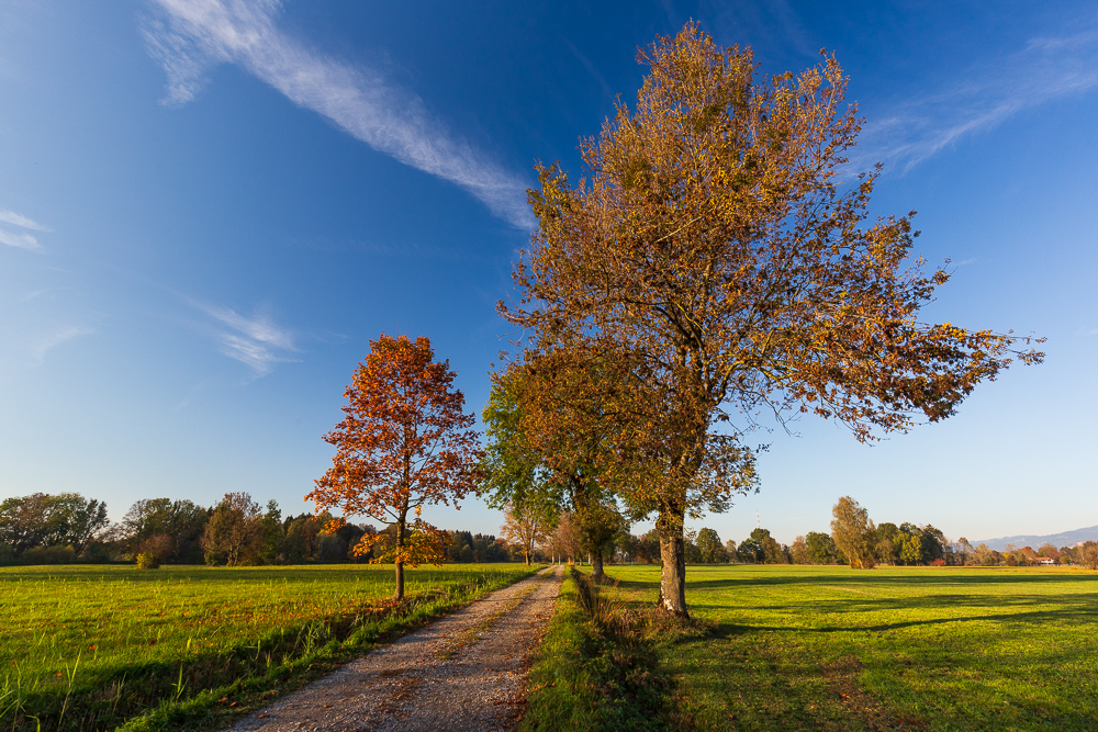Herbst 2018