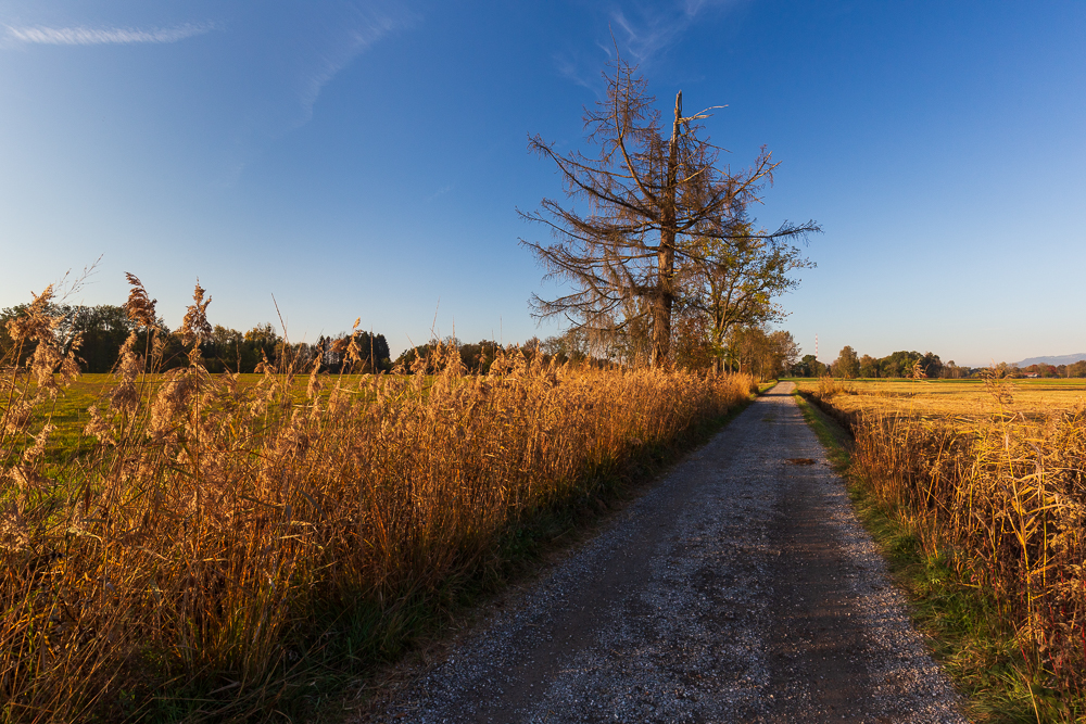 Herbst 2018
