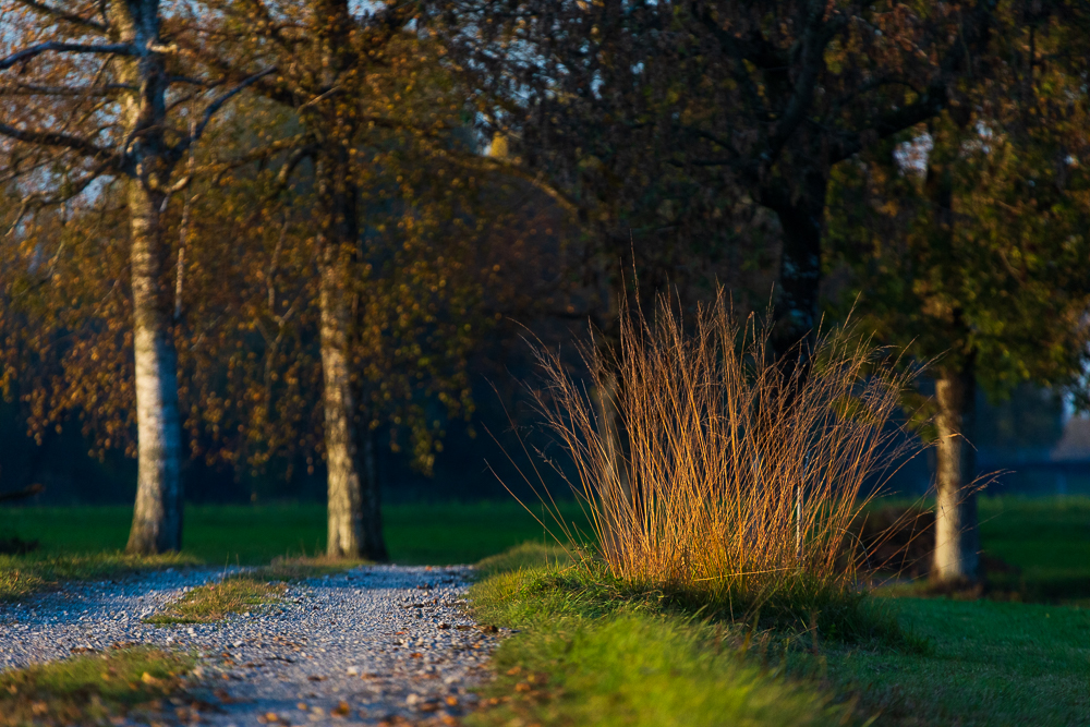 Herbst 2018