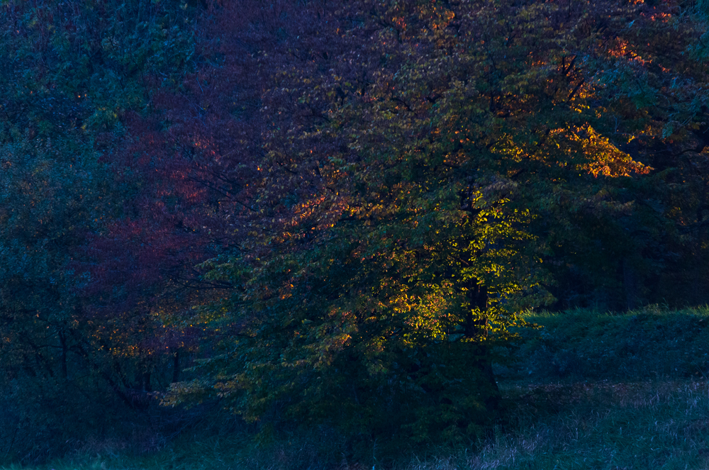 Herbst 2018