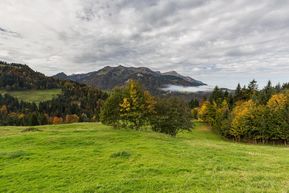 Herbst im Bregenzerwald 1