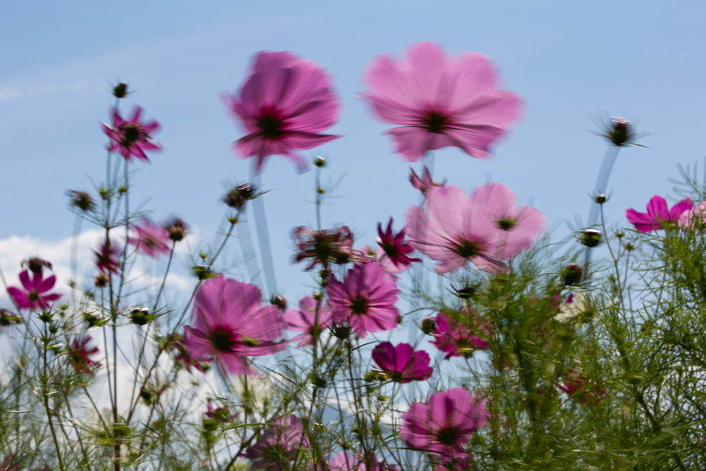 September Impressionen 11