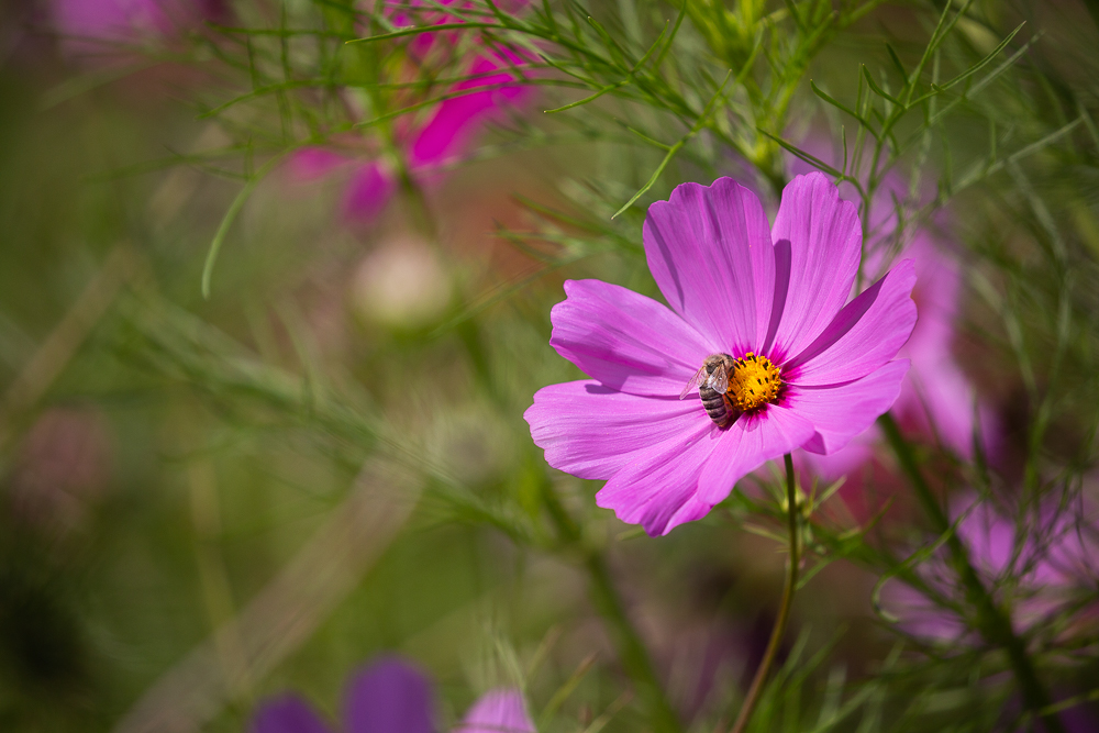 September Impressionen 12