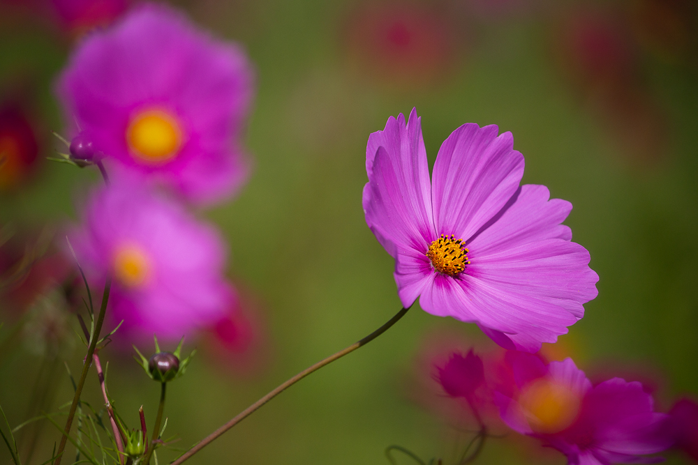 September Impressionen 13