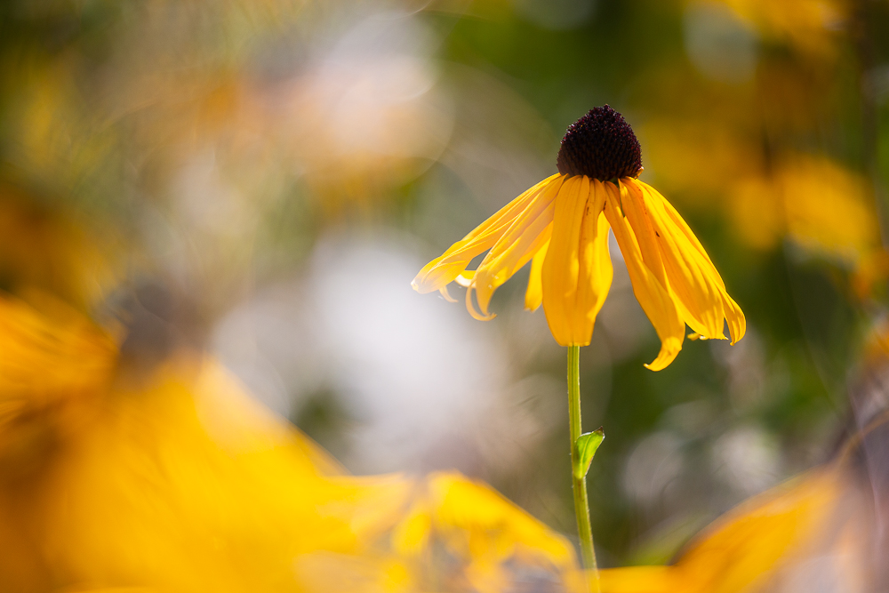 September Impressionen 16