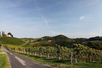 Südsteiermark Land des Weines